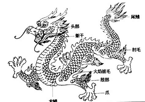 龍怎麼叫|中國古代的龍